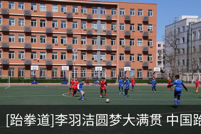 [跆拳道]李羽洁圆梦大满贯 中国跆拳道队五将全摘牌